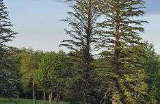 Cozy Retreat in Scenic Poconos - Foto 23