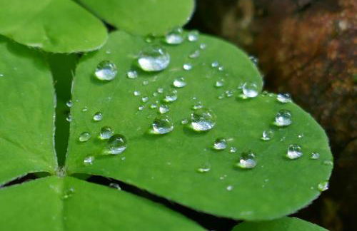 Apartment Abendrot - Foto 34