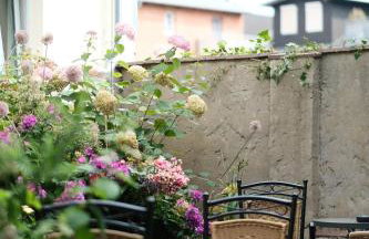 Apartments zur alten Konditorei - Foto 25