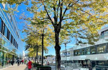 Apartment Chardonnay in Seenähe - Foto 39