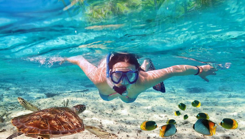 Parc national marin d'Ang Thong - Photo 1