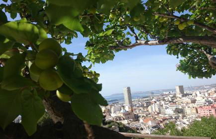 Cerca playa-AA-Patio privado - Photo 46