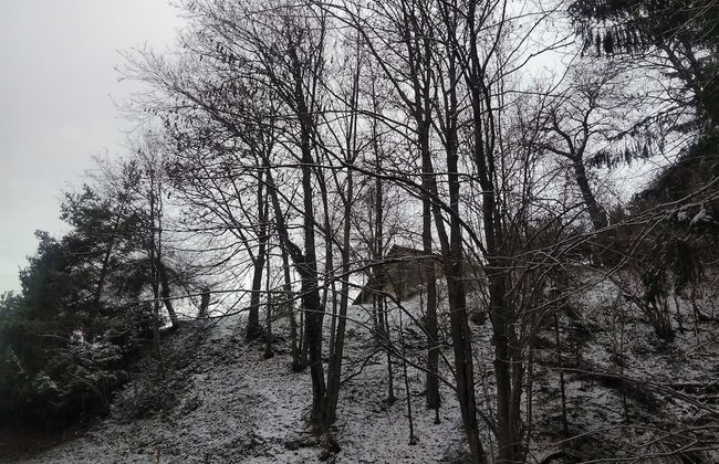 Apartment Jorsi With Mountain View - Foto 13