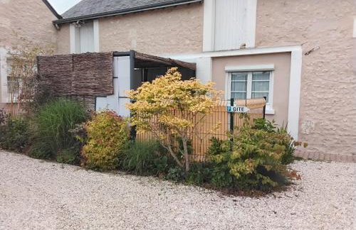 House near Chateaux de la Loire - Foto 10