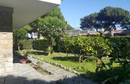 Villa Elena - Photo 4