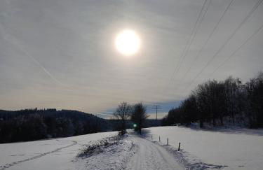 Gasthaus Piesau - Thüringer Wald - Rennsteig - Foto 57