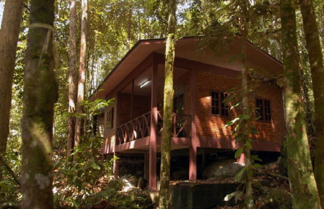 Permai Rainforest Resort - Foto 14