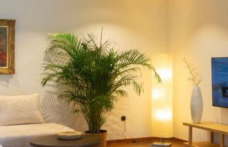 Ferienhaus Fringaluna - Foto 20