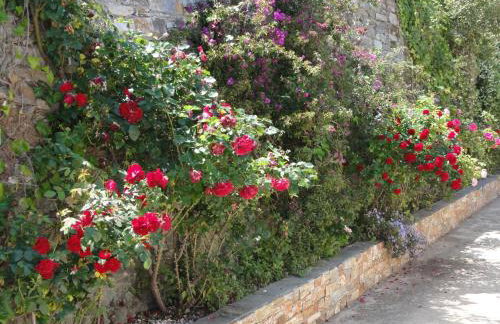 Charmantes chambres 792 Route Inférieure de Cardo - Foto 15