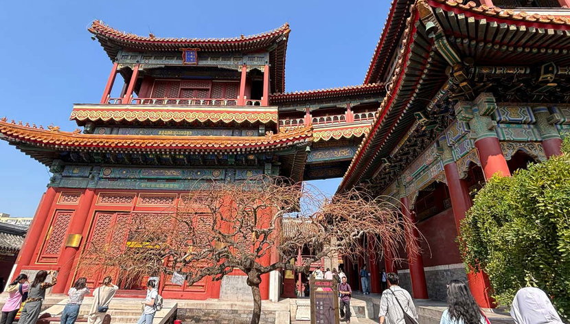 Entradas al Templo de los Lamas - Foto 2, Visitando el espectacular Templo de los Lamas