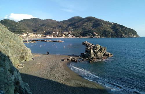 La Calla Rossa - Foto 11