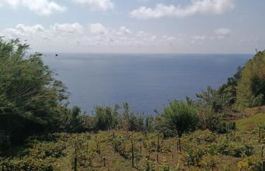 Avó da Rosa 3 - Photo 11