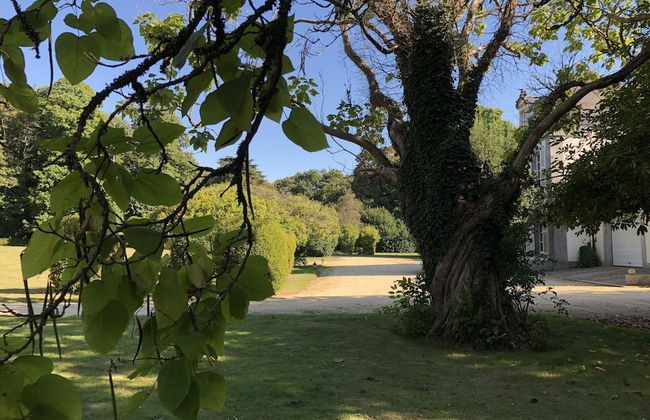 Château de Lannouan - Foto 29