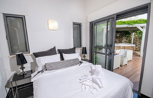 Black and White Holiday - Photo 2