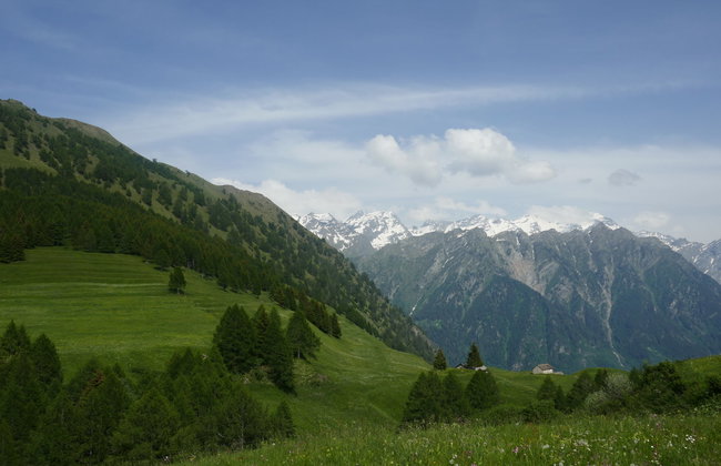 Zenkei - Foto 24