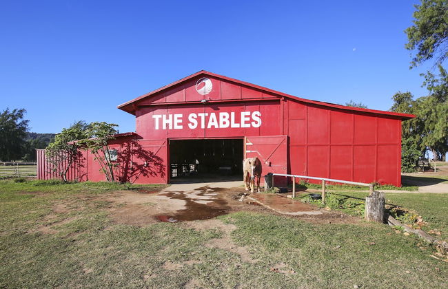 Turtle Bay Lilikoi**ta-009966796801 1 Bedroom Condo by RedAwning - Foto 24