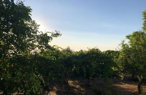 Beautiful Farm House - Foto 13