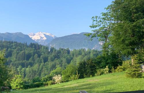 Alpenvilla Berchtesgaden Appartements - Foto 71