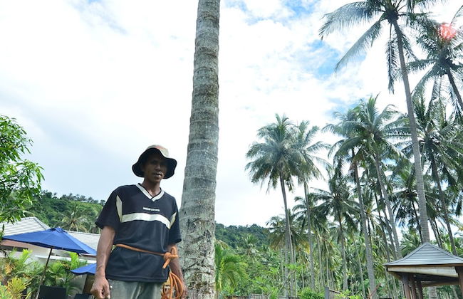 Explore Lombok From Your Villa for 2 or More - Foto 14