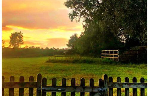 Blueberry Barn, light and airy barn conversion near Bruton - Foto 24