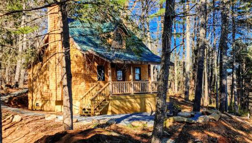 Luxury Mountain View Cabin Near Asheville NC - Foto 3