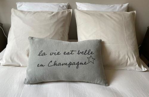 Hôtel particulier Champenois - Foto 67