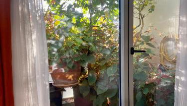 Appartement avec terrasse - Foto 4