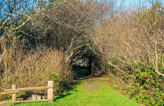 Puffin Condo 21 in Moclips - Foto 20