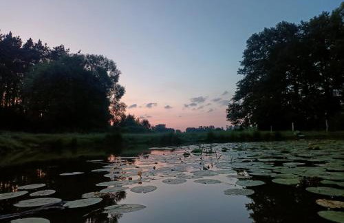 Smocze Ranczo 2 - Foto 65