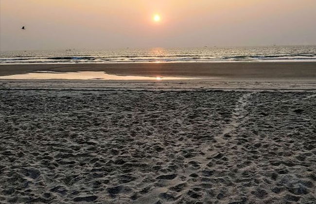 Veeniola Apartment - Stay in Goa - Foto 14