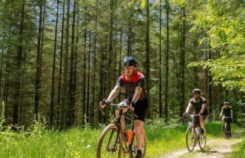 Holiday Home in Grand Est - Foto 16