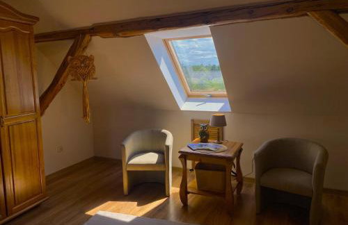 Kamień i Sowa - Foto 50