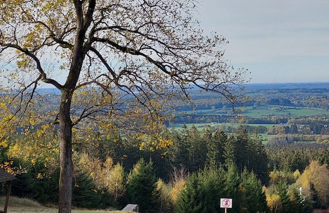 Holiday Home 'ardennes Blue' in Theux Near Spa - Photo 73