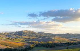 Villa Tiberini Wine Relais - Foto 21