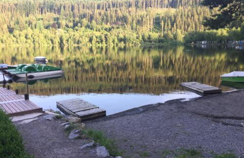 Titisee Haus Vogelnest - Photo 68