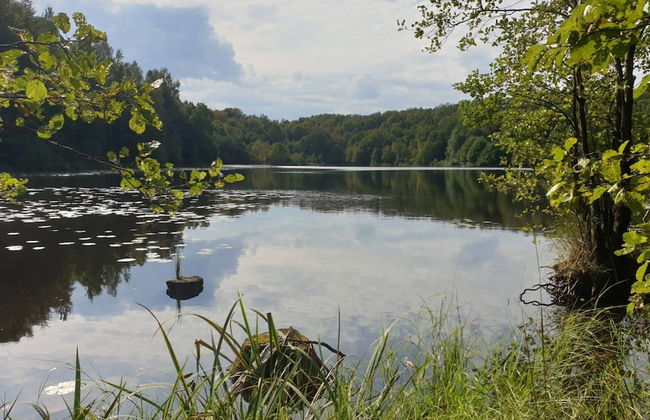 Holiday Home With Private Sauna, Jacuzzi and Pool - Photo 37