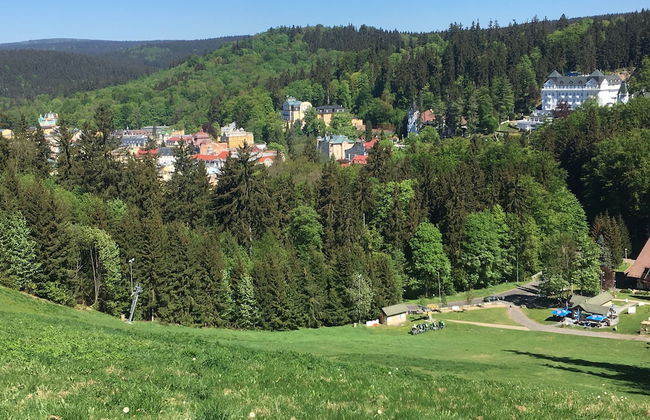 Marienbad Apartment - Foto 63
