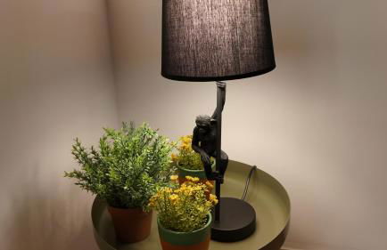 Le mas du Pilat - Foto 8