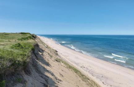 Serene Gardens 2 Miles to Beaches - Foto 42