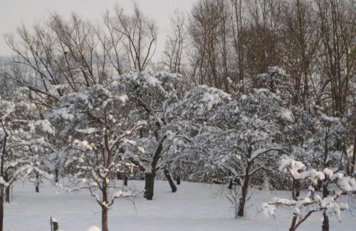 Ferienwohnung Münch - Foto 34