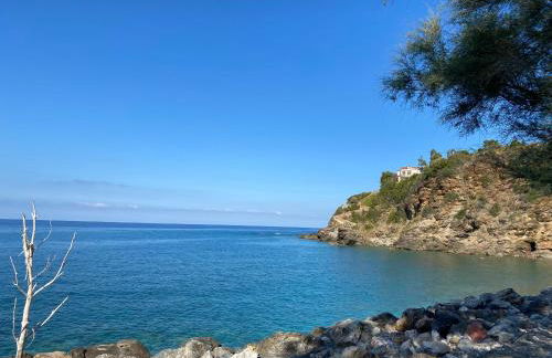 Seaside Villa with private garden - Foto 40