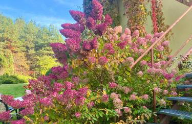 Holiday Let In Mazury !! - Foto 24