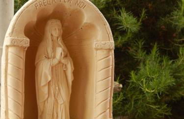 Nel giardino di Nunziatina - Photo 28