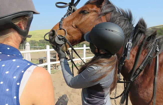 Apartmani Karučki krš - Foto 65