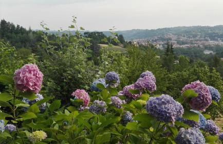 Casa Statiella - Foto 7