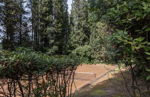 Fattoria la Gigliola - La Limonaia - Foto 25