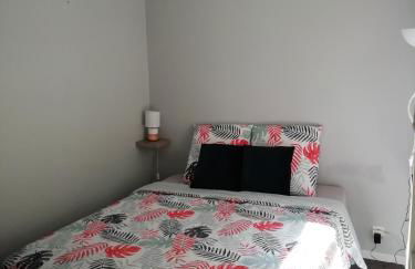 T2 chaleureux sur talence - Foto 2