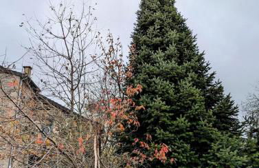 Appartement calme style bohème chic - Foto 21