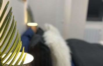 Wild City Centre Double Suite - Basketball Arcade Game, Free Gym - Foto 8