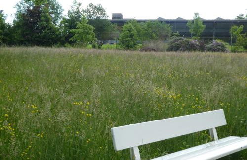 Ferienwohnung Am Hirschpark - Foto 32